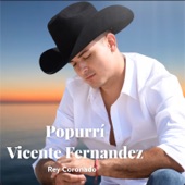 Popurrí Vicente Fernandez artwork