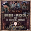 Corridos Y Rancheras (En Vivo)