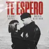 Te Espero - Single album lyrics, reviews, download