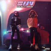 S.U.V. (feat. Bokoesam) artwork