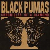 Black Pumas - Sauvignon