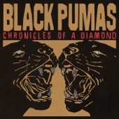 Black Pumas - Angel