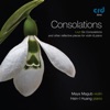 Consolations - Liszt: Six Consolations & Other Reflective Pieces for Violin & Piano, 2022