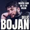 Naucio Sam Da Te Ne Volim - Single