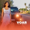 Voar - Single