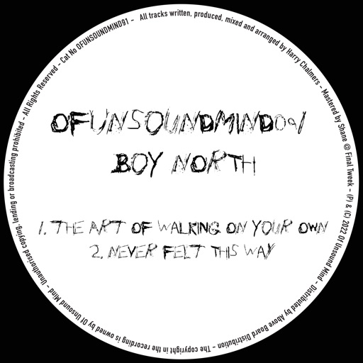 The Art of Walking on Your Own / Never Felt This Way - Single by Boy North