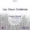 Lay Down Evidence - Single