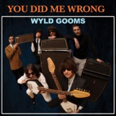 Wyld Gooms - You Did Me Wrong