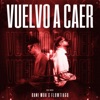 Vuelvo a Caer - Single