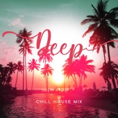 Deep Chill House Mix: Chill Out Lounge, Tropical Summer Beach Party artwork