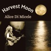 Harvest Moon - Single