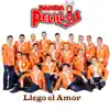 Llego el Amor - Single album lyrics, reviews, download