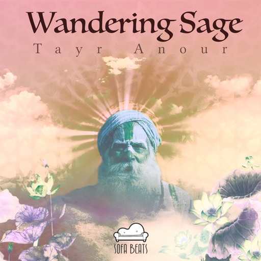 Wandering Sage - Single by Tayr Anour