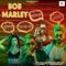 Bob Marley - Star Boy Loc lyrics