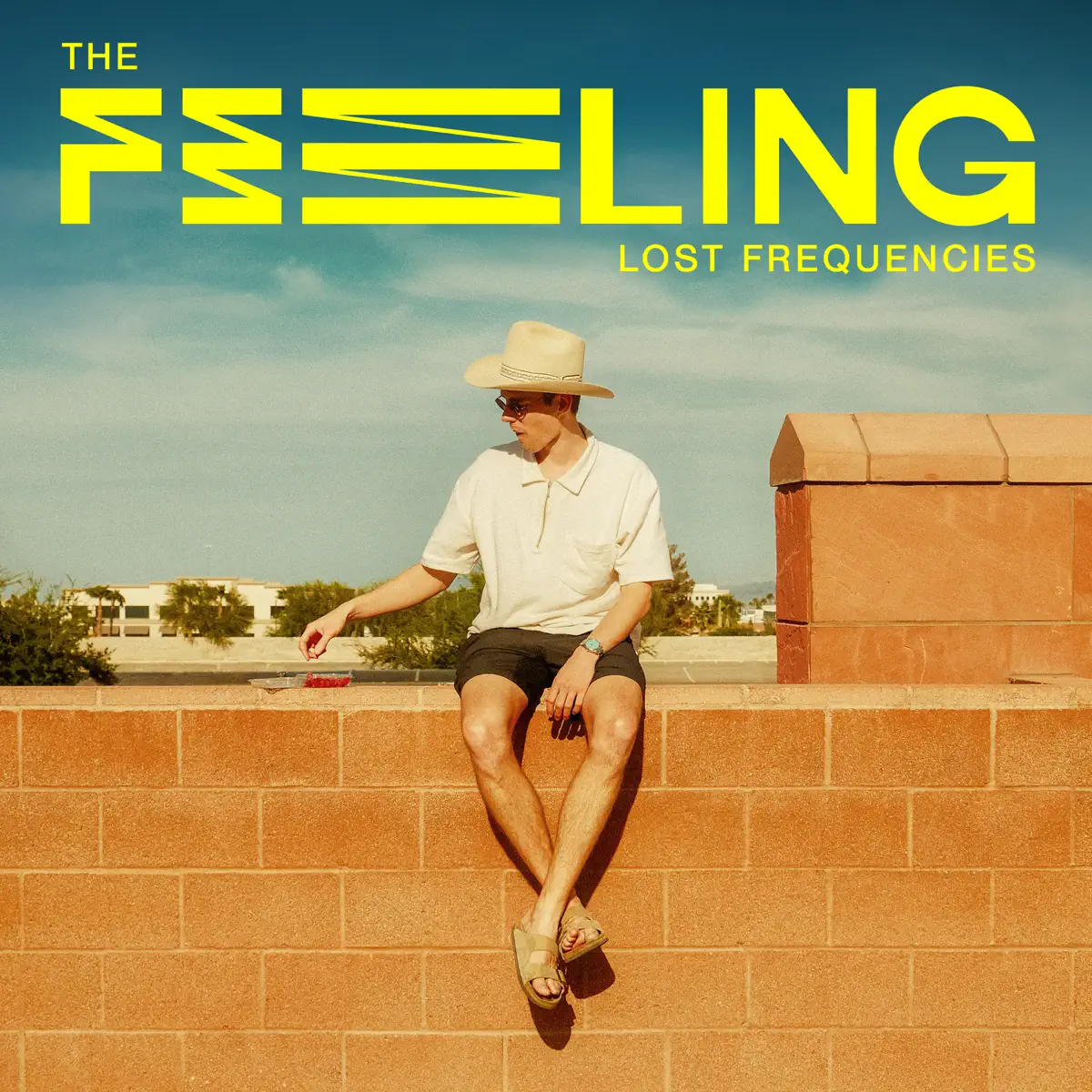 Lost Frequencies - The Feeling - Single (2023) [iTunes Plus AAC M4A]-新房子