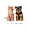 Anxiety of Pets: Relax and Deep Sleeping For Dogs and Cats album lyrics, reviews, download