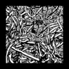 Liminal Perception - Single