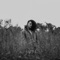 Sore - John Rose lyrics