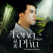 Tong Phu (Chinese Version) artwork