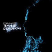 Tempête d'émotions artwork