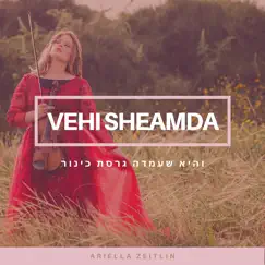 Vehi Sheamda (Instrumental) - Single by Ariella Zeitlin album reviews, ratings, credits