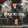 Stream & download Until We Meet Again - Single