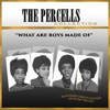 The Percells Collection: What Are Boys Made Of artwork