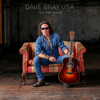 Dave Bray USA - Too Far Gone  artwork