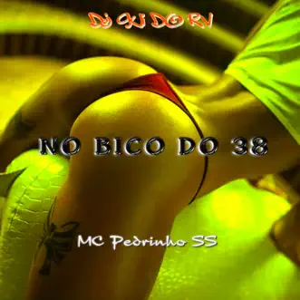 No Bico do 38 - Single by DJ Gui do RV & Mc Pedrinho ss album reviews, ratings, credits