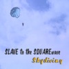 Skydiving - Single