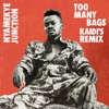 Too Many Bags (Kaidi's Remix) - Single