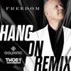 Hang On (Goldistic & Thoby Remix) - Single