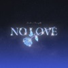 NO LOVE by Shubh iTunes Track 1
