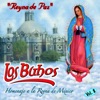 Reyna de Paz "Homenaje a la Reyna de México", Vol. 8