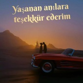 Yaşanan Anılara Teşekkür Ederim artwork