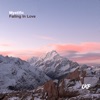 Falling in Love - Single