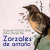 Zorzales de Antaño - Orquesta Rodolfo Biagi - Adiós Pampa Mia