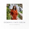 Domnul Face Drum - Single, 2023