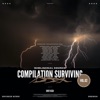 Compilation Surviving Vol.2