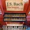 Manuel Tomadin - Organ Sonata No. 1 in E-Flat Major, BWV 525: I. (Without Tempo Indication)