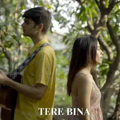 Tere Bina - Single by Vasuda Sharma & Arnav Maggo album reviews, ratings, credits