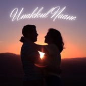 Unakkul Naane (feat. Varsha Ranjith) [Flip Mix] artwork