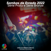 Sambas de Enredo 2022: Série Prata e Série Bronze (Superliga) - Various Artists