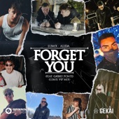 Forget You (feat. Gabry Ponte) [LUM!X VIP MIX] artwork