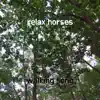 Relax Horses song lyrics