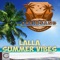 Lalla Summer Vibes (feat. DJ Lignin & Tribemaster) cover
