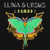 Luna & Ursus - Put Your Roots Down - Full Band