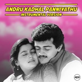 Andru Kadhal Panniyathu (Instrumental Version) artwork