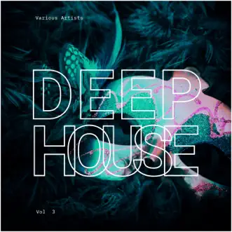 Deep-House Carnival, Vol. 3 by Various Artists album reviews, ratings, credits