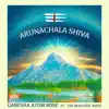 Arunachala Shiva (feat. The Beautiful Noize) - Single album lyrics, reviews, download